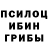 Галлюциногенные грибы мицелий Bimer 528
