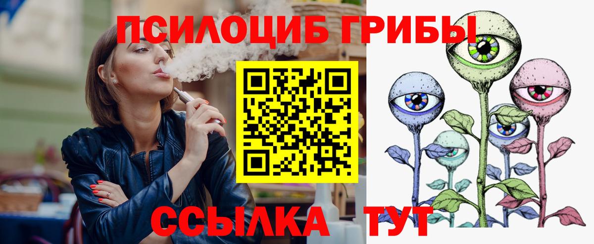 Псилоцибиновые грибы мицелий Черемхово
