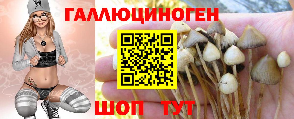 Псилоцибиновые грибы Magic Shrooms  Вход с VPN  Галлюциногенные грибы Cubensis  Черемхово 
